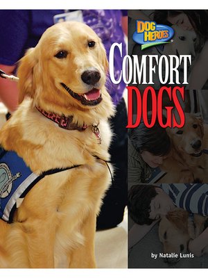 cover image of Comfort Dogs